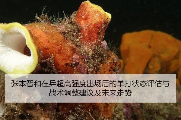 张本智和在乒超高强度出场后的单打状态评估与战术调整建议及未来走势